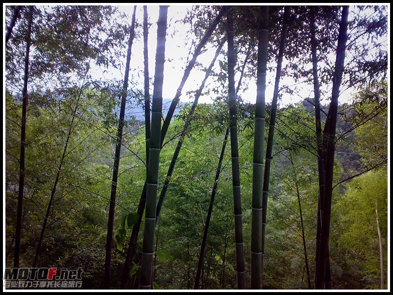 20100822574.jpg