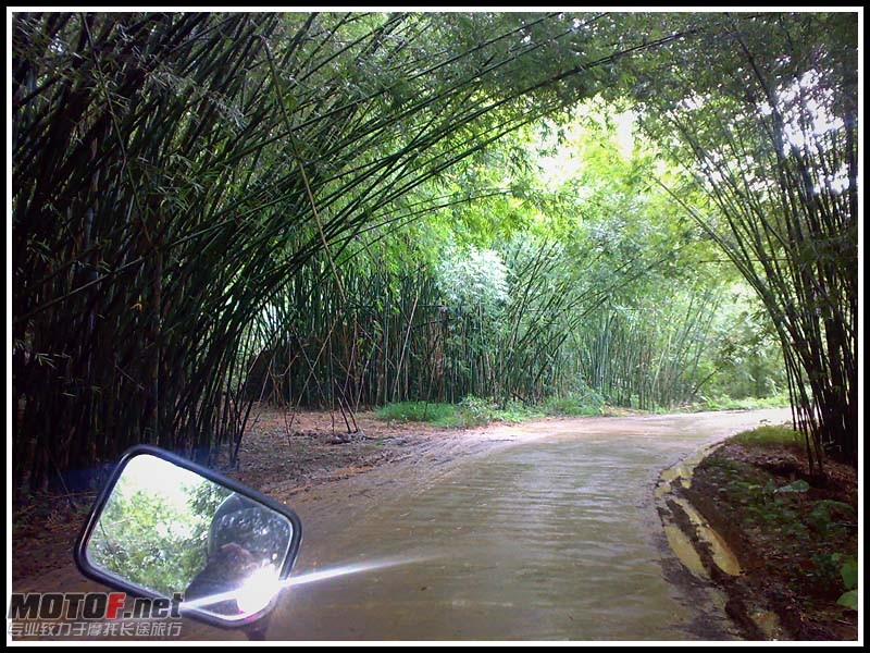 20100822559.jpg