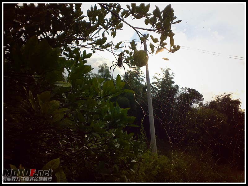 20100822582.jpg