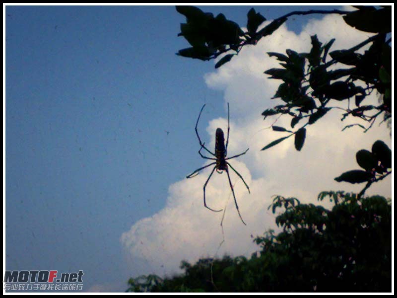 20100822580.jpg