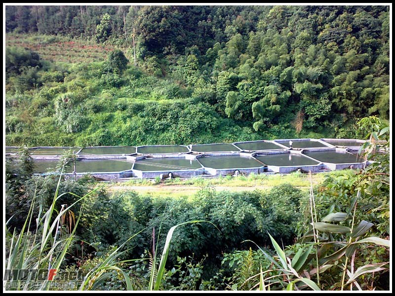 20100822603.jpg