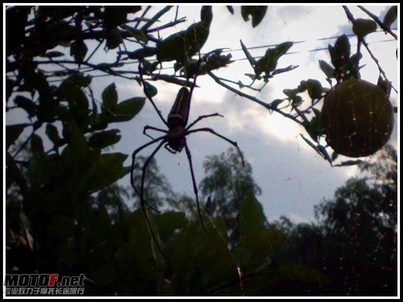 20100822579.jpg