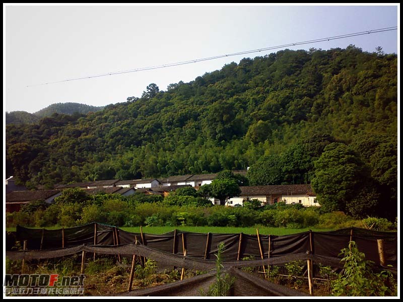 20100822590.jpg