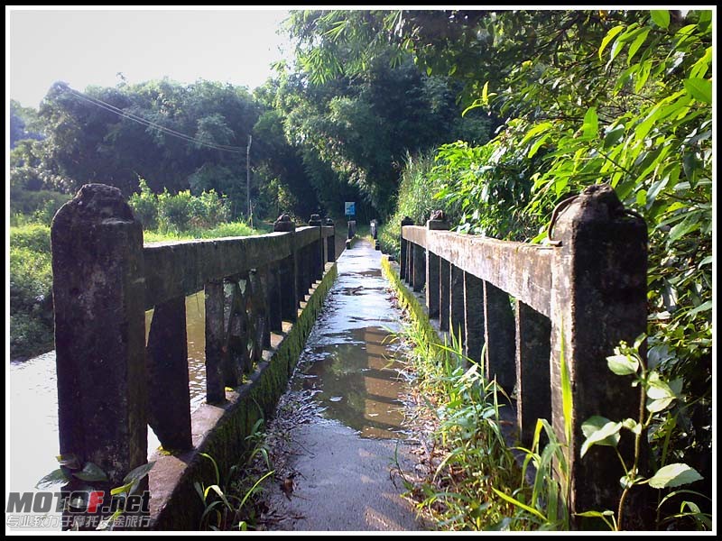 20100822594.jpg