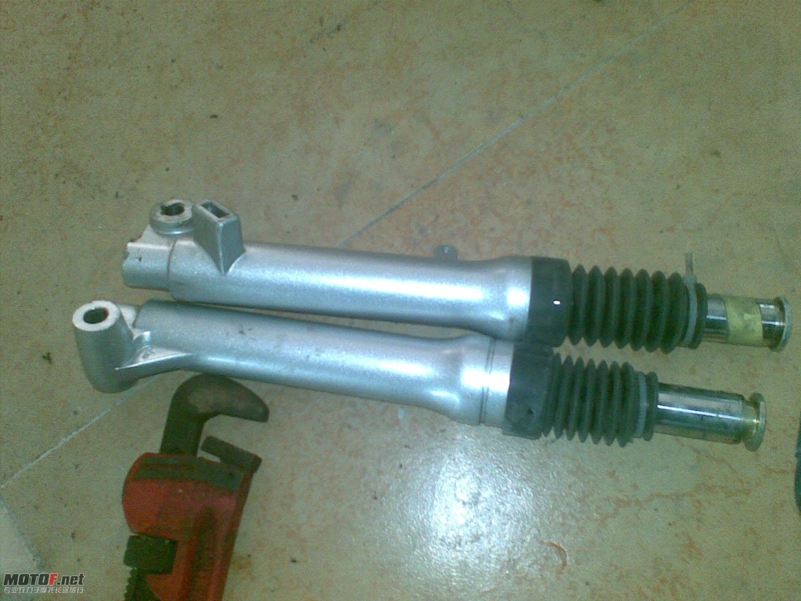20090204(001).jpg