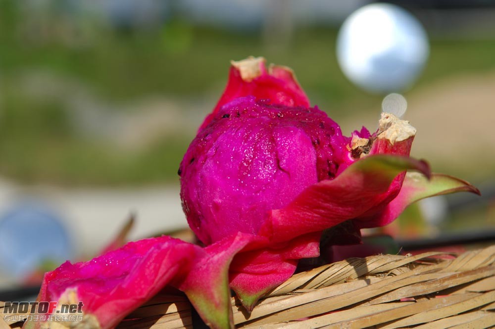DSC_1954.JPG