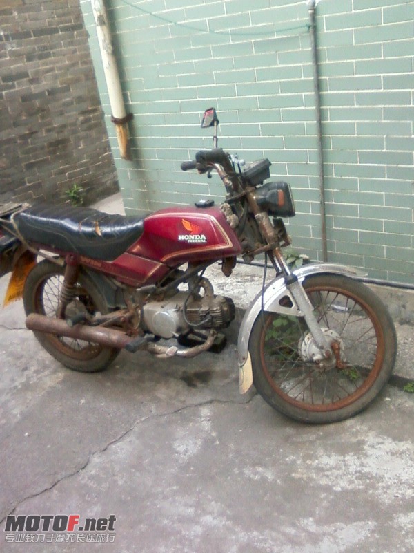 W100.jpg