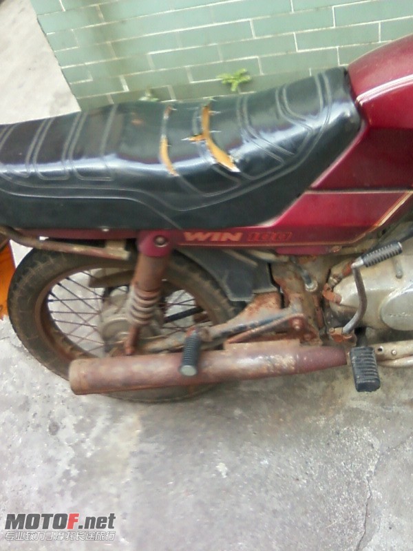 W1003.jpg