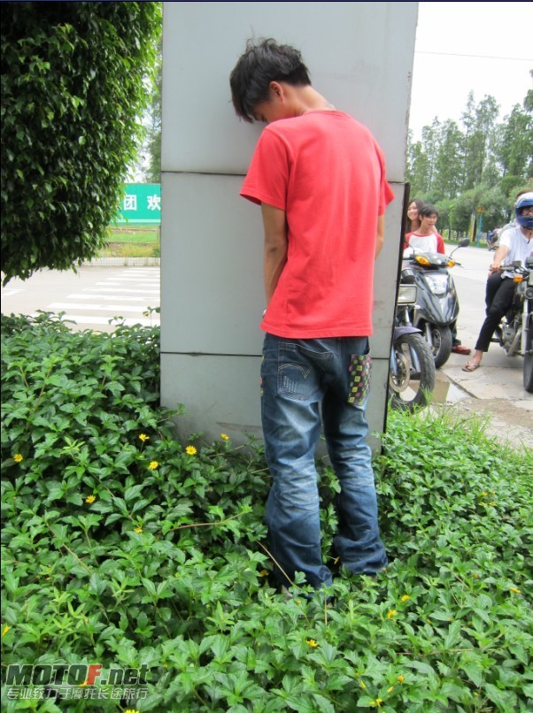 高佬林花