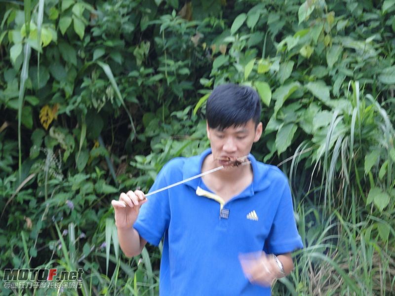 锦少