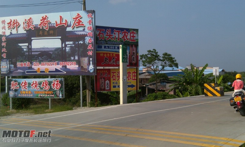 鸡.jpg