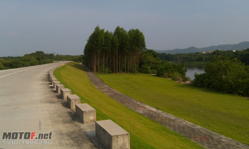树.jpg