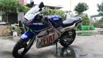 金沙洲TZM150