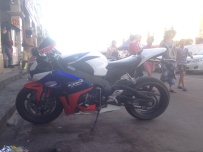 阳江售鹦鹉09CBR1000